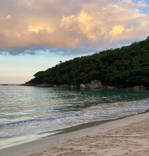 Costa de Trindade, com a mata descendo até o mar