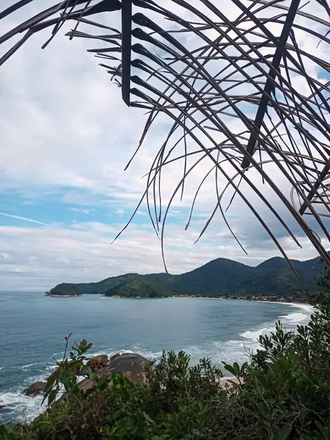 Vista do alto de uma enseada com ondas e morros, por entre folhas de palmeira